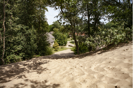 Overnachten met je paard op Sandberghe in de Maashorst VMP136